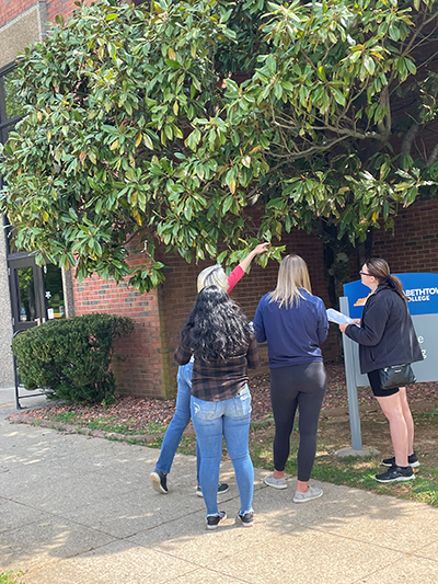 Students are looking at a tree outside of ECTC's Science Building