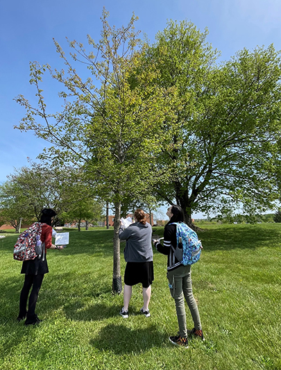 Students are looking at a tree outside of ECTC's Science Building