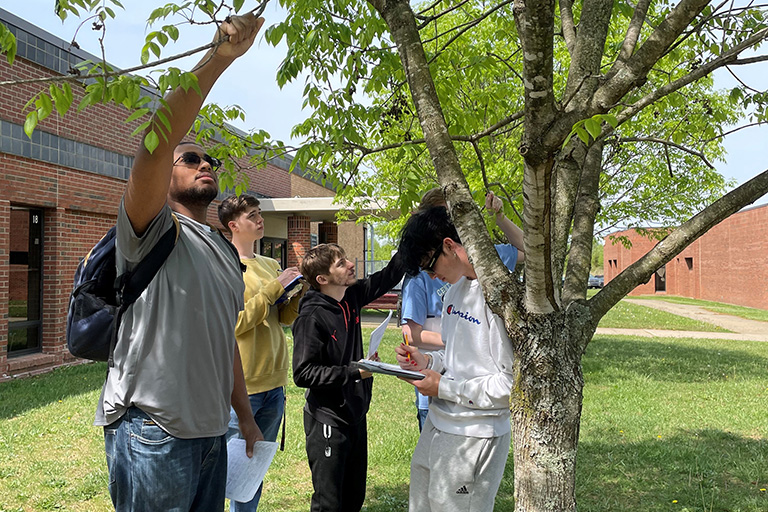 Students on Tree Campus looking at trees