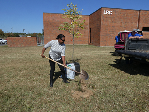 Jerisia Lamons digging for planting tree