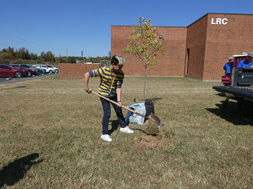 Elijah Lozano digging to plant the tree.