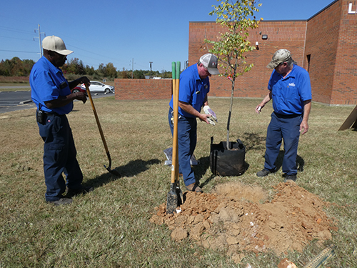 ECTC Maintenance team planting the tree.