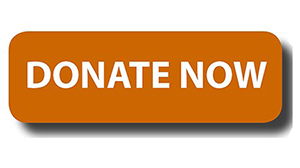 Donate Now button