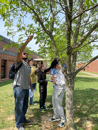 ECTC biology students help inventory trees on campus to meet one of the requirements for the Tree Campus Higher Education designation.