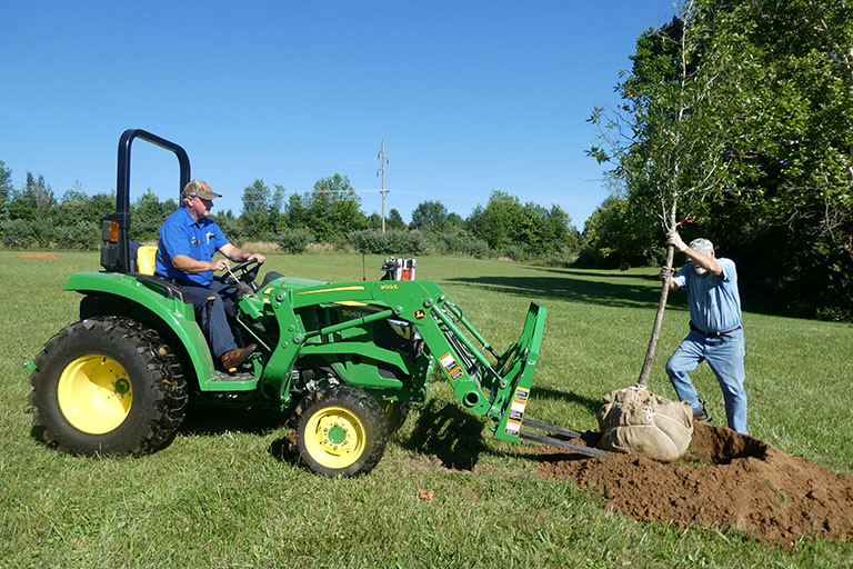 Plant for the Planet tree on ECTC campus